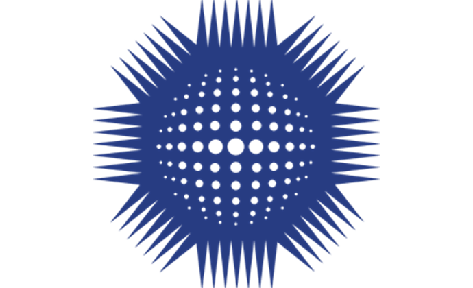NEBOSH International General Certificate (IGC):